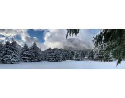 Lmv6 Old Hope Princeton Highway, Sunshine Valley, Sunshine Valley, BC V0X1L5 Photo 32