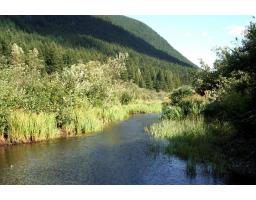 Lmv6 Old Hope Princeton Highway, Sunshine Valley, Sunshine Valley, BC V0X1L5 Photo 31