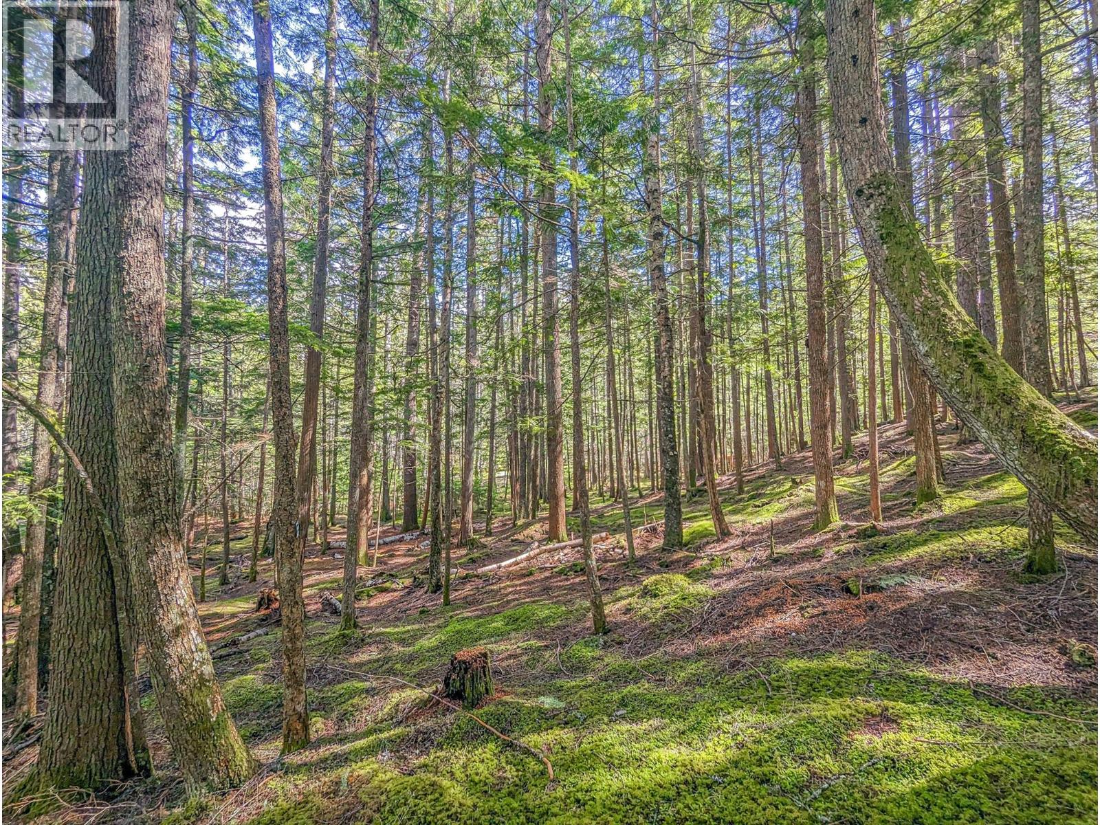 15730 PETERS Road - 44