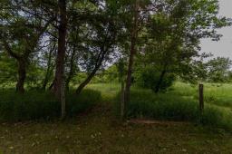 141145 86n Road, Hamiota, MB R0M0K0 Photo 31