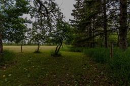141145 86n Road, Hamiota, MB R0M0K0 Photo 32