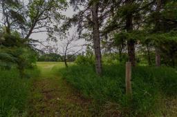 141145 86n Road, Hamiota, MB R0M0K0 Photo 33