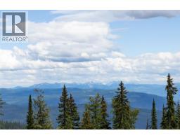 155 Silver Lode Lane Unit# 253, Silver Star, BC V1B3M1 Photo 10
