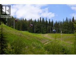 155 Silver Lode Lane Unit# 253, Silver Star, BC V1B3M1 Photo 43