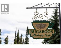 155 Silver Lode Lane Unit# 253, Silver Star, BC V1B3M1 Photo 60