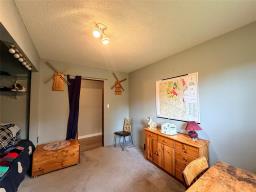 80043 34 Path, Gladstone, MB R0J0T0 Photo 23
