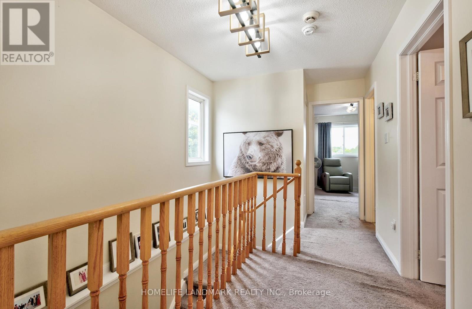 43 COLEMAN DRIVE - 13