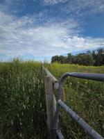 108155 110  (reid ) Road W, Onanole, MB R0J1N0 Photo 20