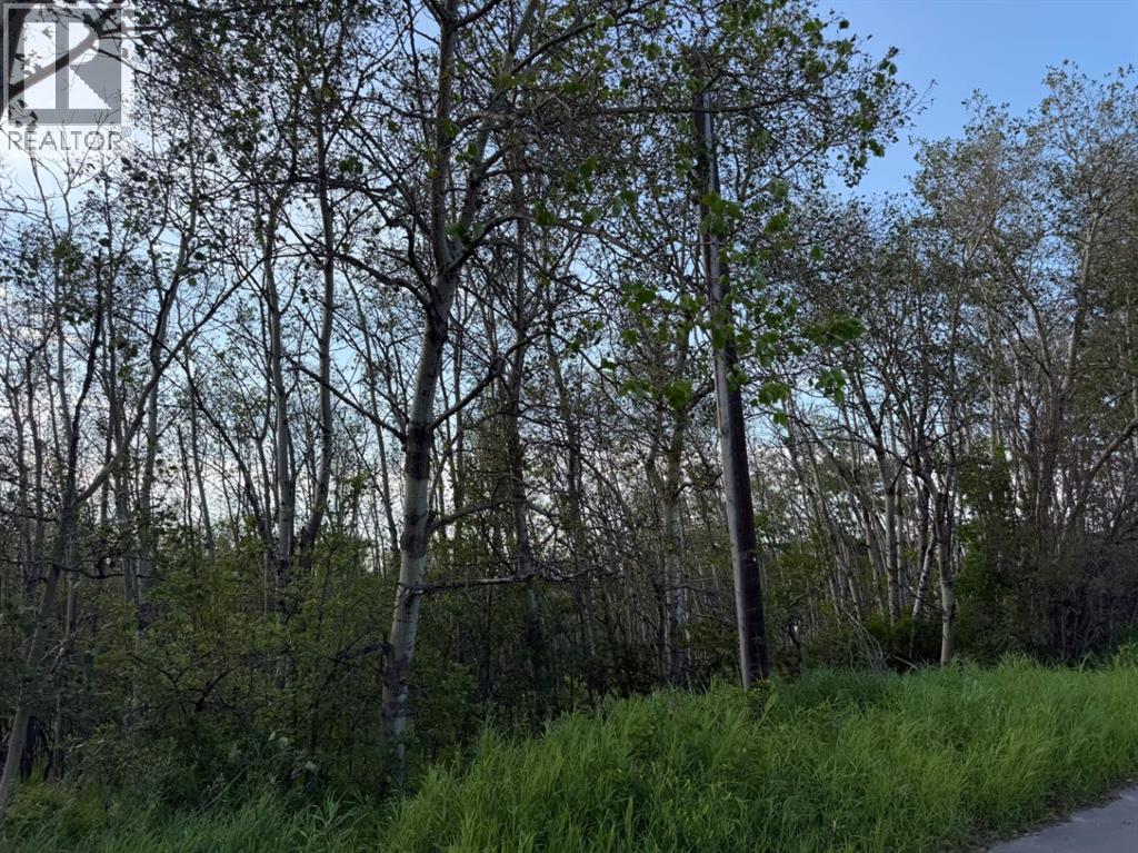 Listing photo – 5007, 5009, 5011 42B Street, Ponoka