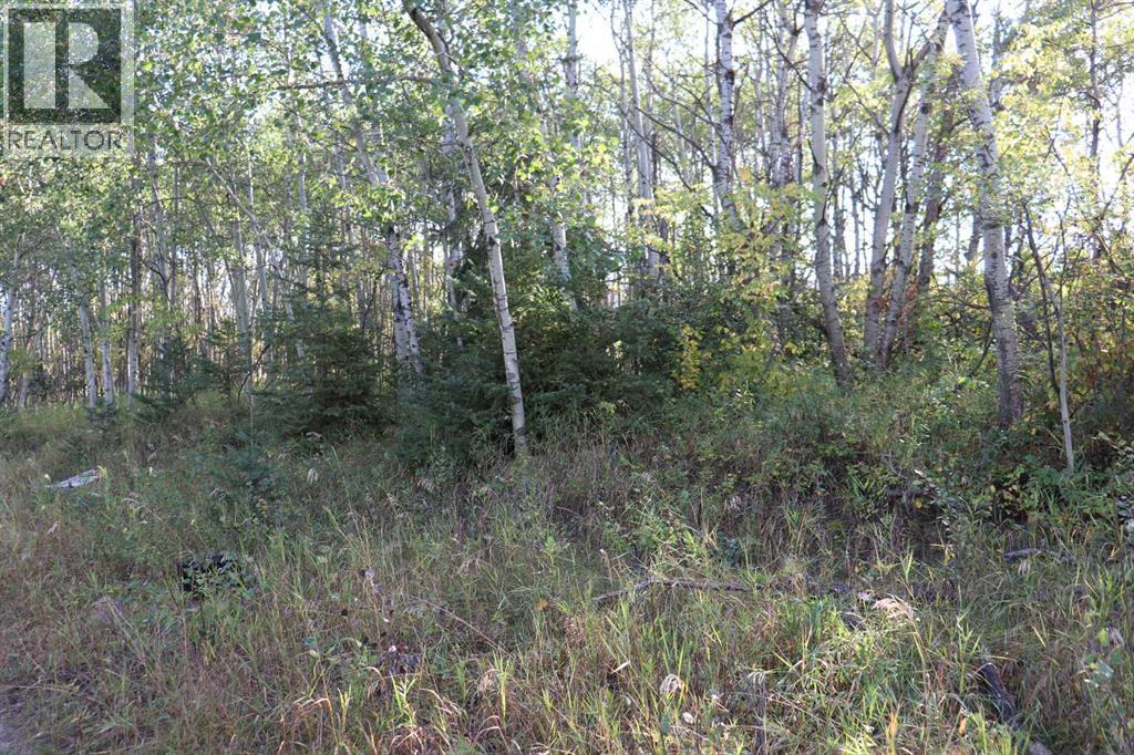 Listing photo – 5007, 5009, 5011 42B Street, Ponoka