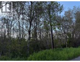 5007, 5009, 5011 42b Street, Ponoka, AB T4J1C4 Photo 10