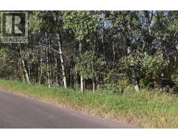 5007, 5009, 5011 42b Street, Ponoka, AB T4J1C4 Photo 6