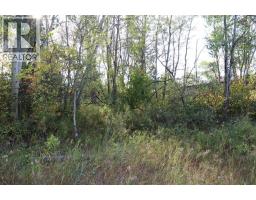 5007, 5009, 5011 42b Street, Ponoka, AB T4J1C4 Photo 8