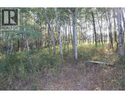 5007, 5009, 5011 42b Street, Ponoka, AB T4J1C4 Photo 9