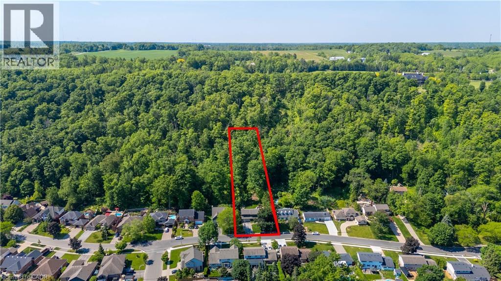 94 DORCHESTER Drive - Image 3