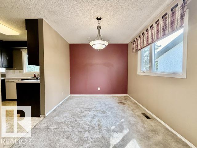 111 Green Ash DR - 8