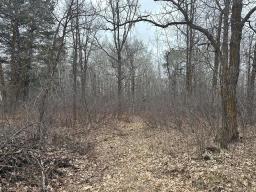 0 39 Road E, Beaconia, MB R0E0B0 Photo 6