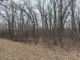 0 39 Road E, Beaconia, MB R0E0B0 Photo 7