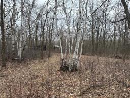 0 39 Road E, Beaconia, MB R0E0B0 Photo 8