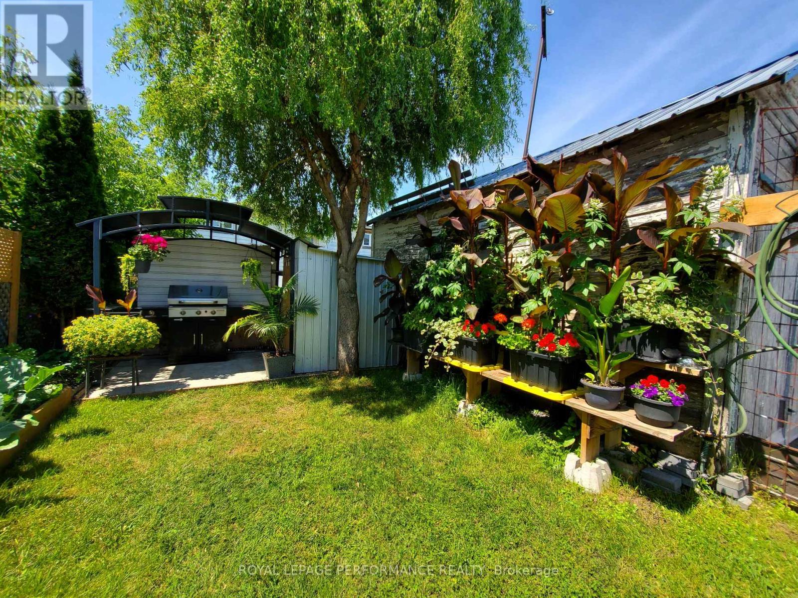 339 LOUISA STREET - 20