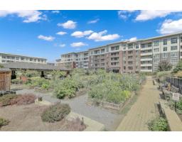 C521 8150 207 Street, Langley, BC V2Y4J4 Photo 9