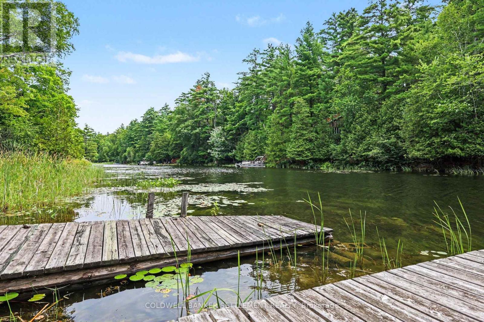 4277 SCOTCH LINE ROAD - 40