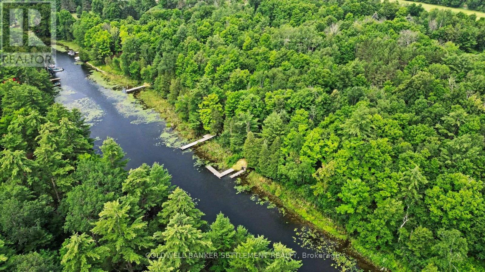 4277 SCOTCH LINE ROAD - 43