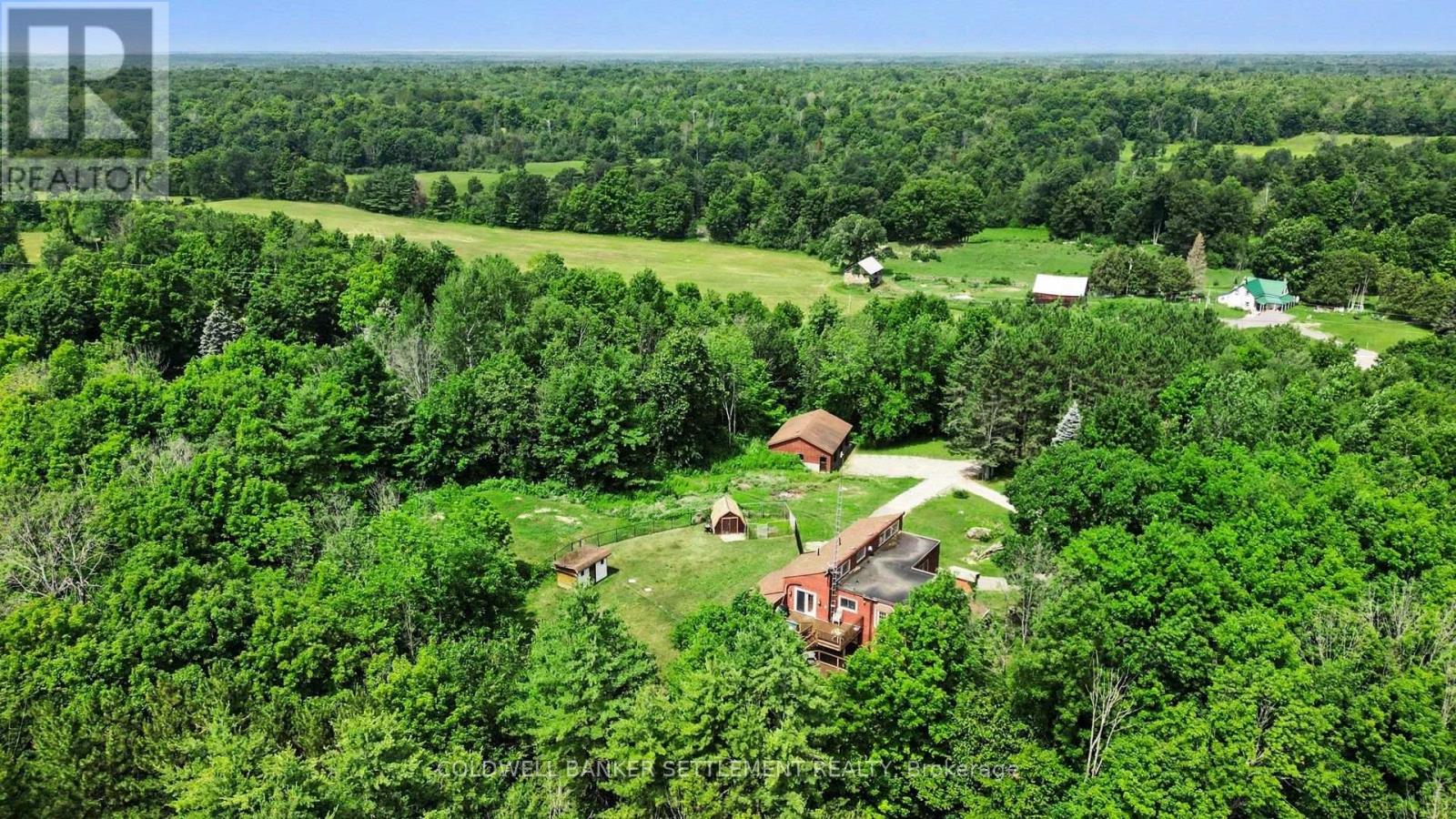 4277 SCOTCH LINE ROAD - 47