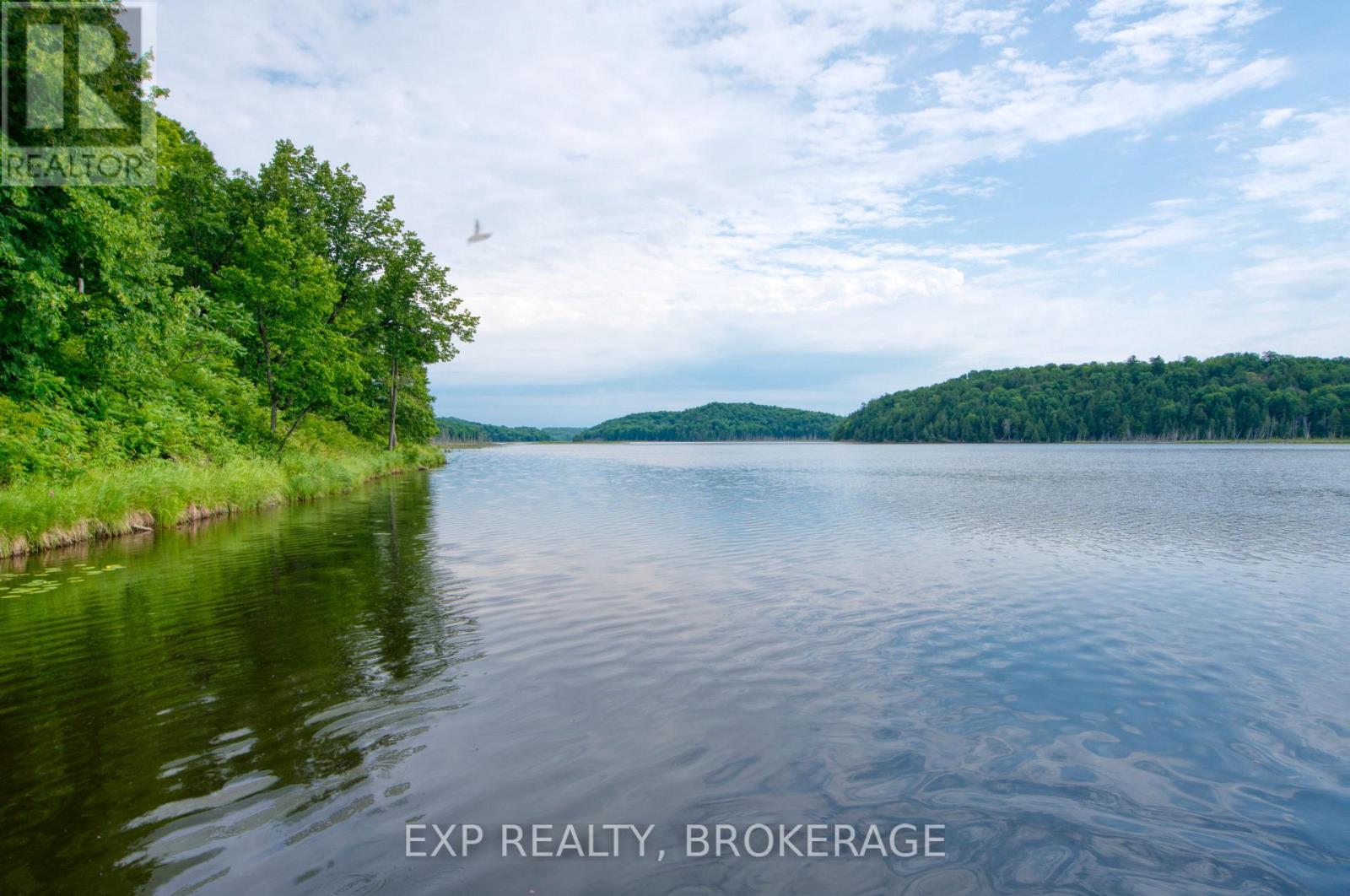 1427 LEWIS ROAD - 42