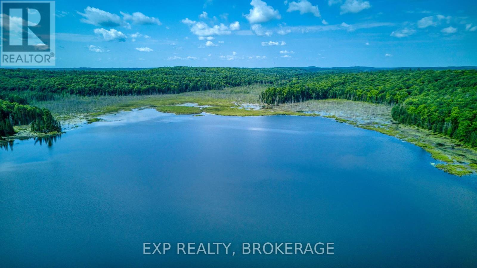 1427 LEWIS ROAD - 49