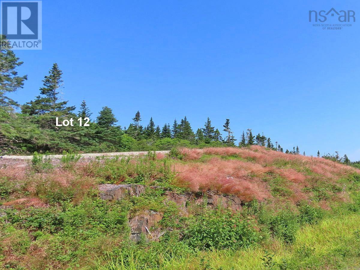 Property 18 of 50 of Lot 12 316 Hwy (English Harbour)