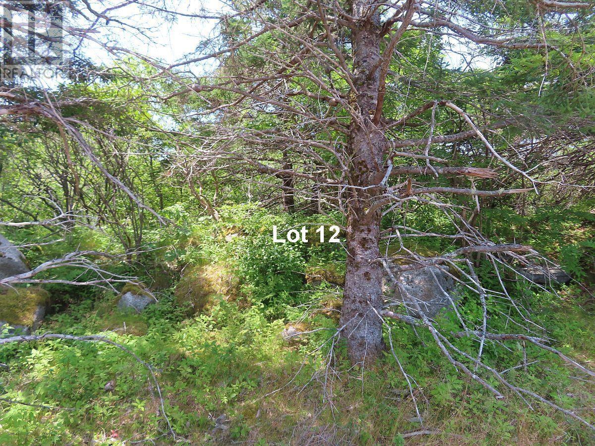Property 21 of 50 of Lot 12 316 Hwy (English Harbour)