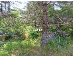 Lot 12 316 Hwy (english Harbour), Cole Harbour, NS B0H1T0 Photo 21