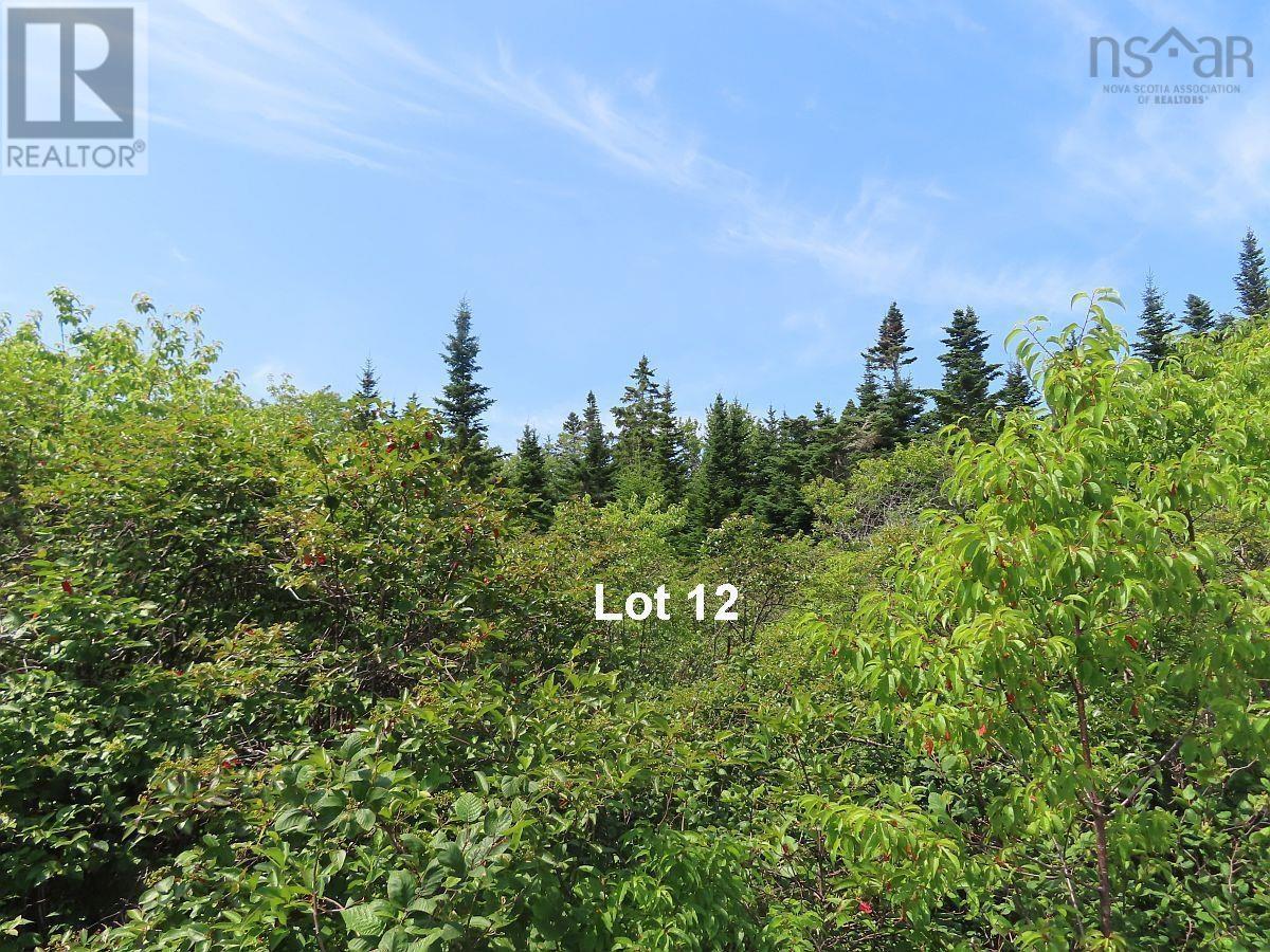 Property 22 of 50 of Lot 12 316 Hwy (English Harbour)