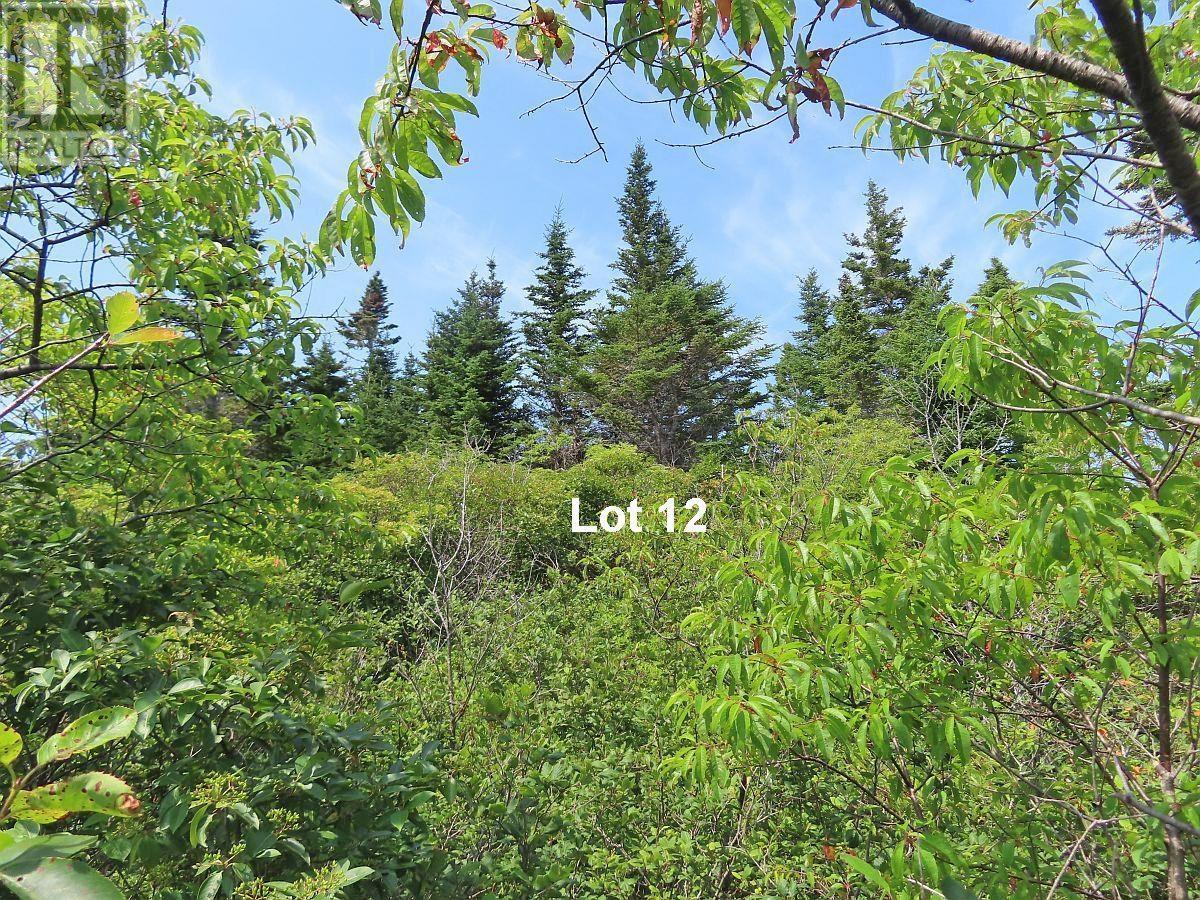 Property 23 of 50 of Lot 12 316 Hwy (English Harbour)