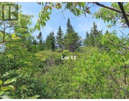 Lot 12 316 Hwy (english Harbour), Cole Harbour, NS B0H1T0 Photo 23