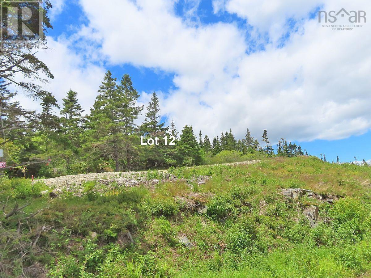 Property 39 of 50 of Lot 12 316 Hwy (English Harbour)