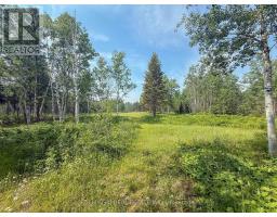 4963 Highway 11 Highway S, Black River Matheson, ON P0K1R0 Photo 10