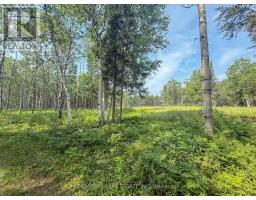4963 Highway 11 Highway S, Black River Matheson, ON P0K1R0 Photo 11