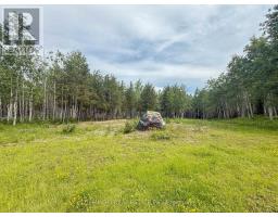 4963 Highway 11 Highway S, Black River Matheson, ON P0K1R0 Photo 14