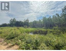 4963 Highway 11 Highway S, Black River Matheson, ON P0K1R0 Photo 15