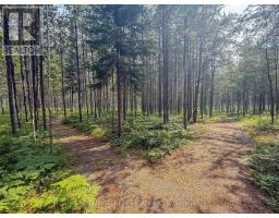 4963 Highway 11 Highway S, Black River Matheson, ON P0K1R0 Photo 8