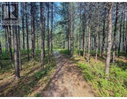 4963 Highway 11 Highway S, Black River Matheson, ON P0K1R0 Photo 9