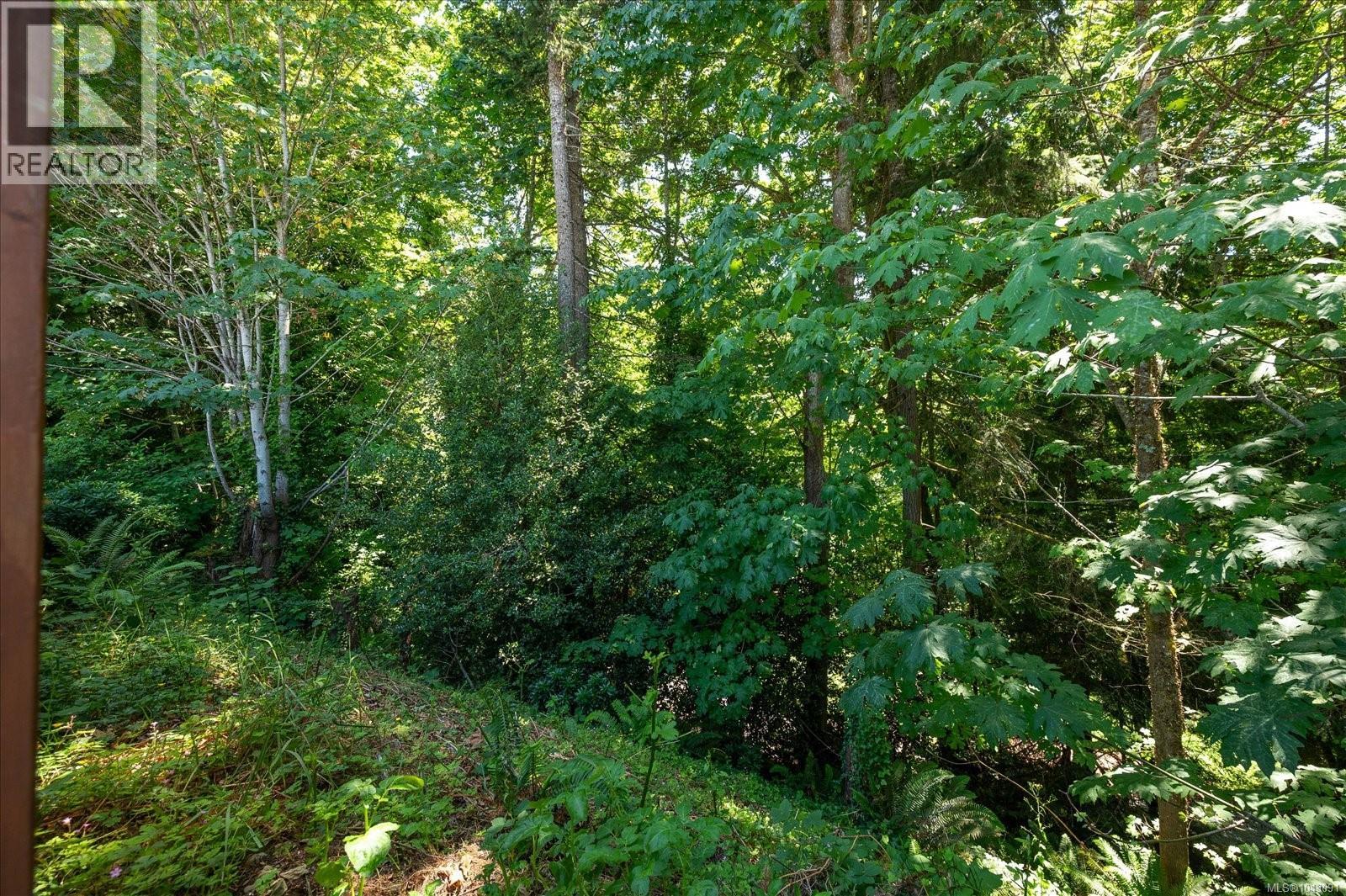 #6 313 Holland Creek Pl - 51