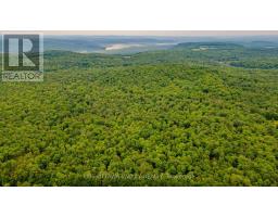 0 Peplinskie Road, Madawaska Valley, ON K0J1L0 Photo 19