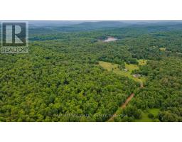 0 Peplinskie Road, Madawaska Valley, ON K0J1L0 Photo 20