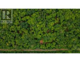 0 Peplinskie Road, Madawaska Valley, ON K0J1L0 Photo 21