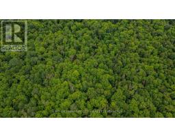 0 Peplinskie Road, Madawaska Valley, ON K0J1L0 Photo 23