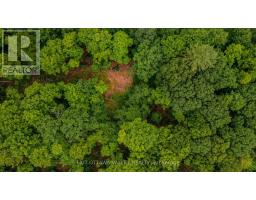 0 Peplinskie Road, Madawaska Valley, ON K0J1L0 Photo 24