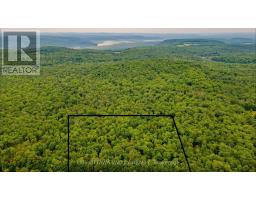 0 Peplinskie Road, Madawaska Valley, ON K0J1L0 Photo 25